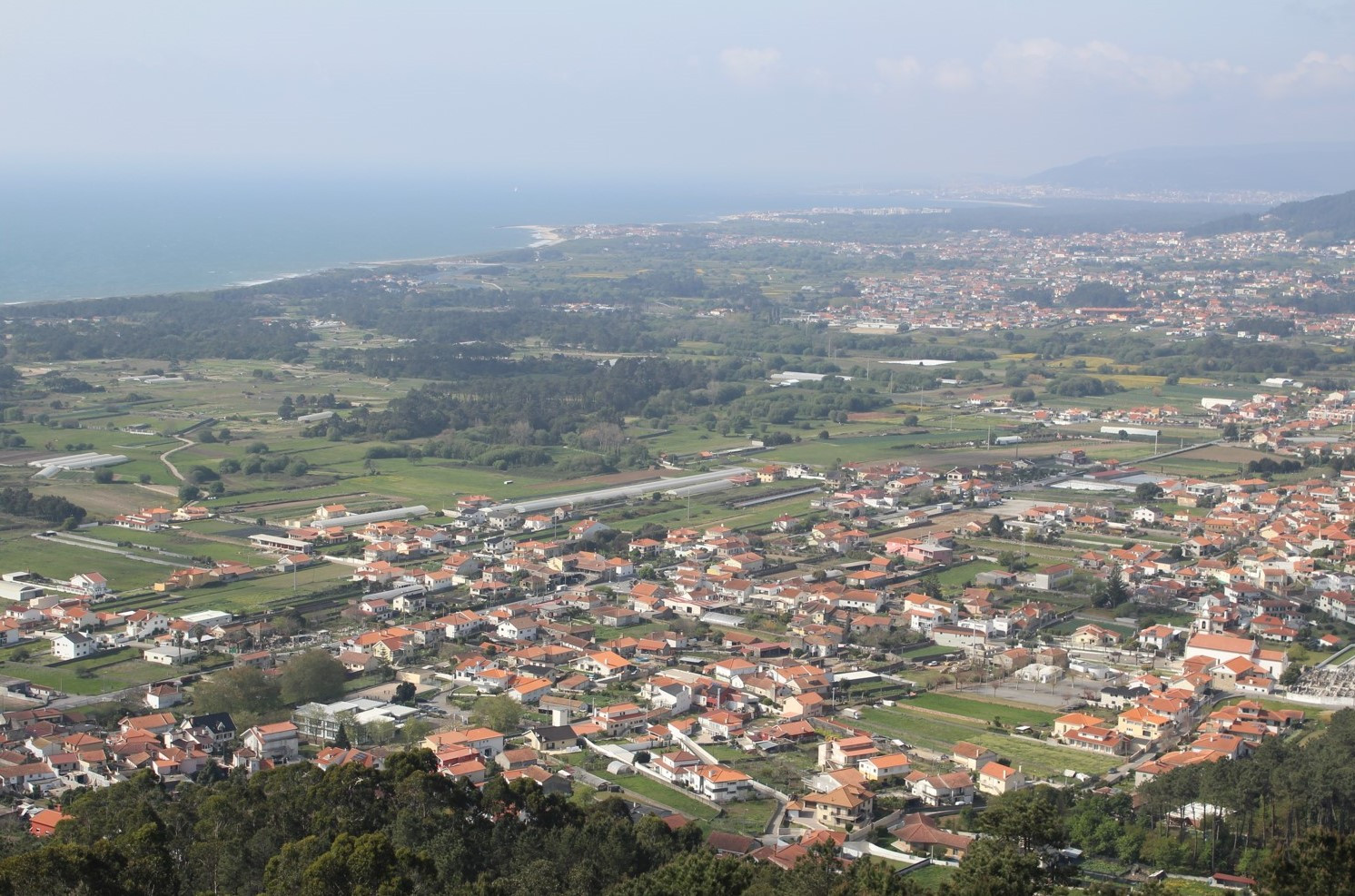 Platão de Vista